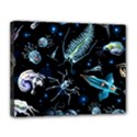Colorful Abstract Pattern Consisting Glowing Lights Luminescent Images Marine Plankton Dark Backgrou Canvas 14  x 11  (Stretched) View1