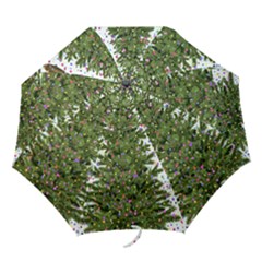 Funny Angry Folding Umbrellas by Ket1n9