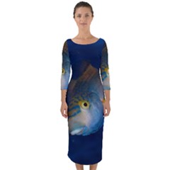 Fish Blue Animal Water Nature Quarter Sleeve Midi Bodycon Dress by Hannah976
