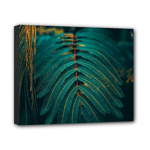 Dark Green Leaves Leaf Canvas 10  X 8  (stretched) by Cemarart