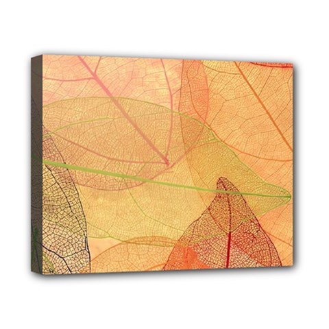 Leaves Patterns Colorful Leaf Pattern Canvas 10  X 8  (stretched) by Cemarart