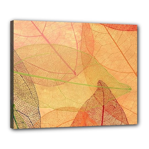 Leaves Patterns Colorful Leaf Pattern Canvas 20  X 16  (stretched) by Cemarart