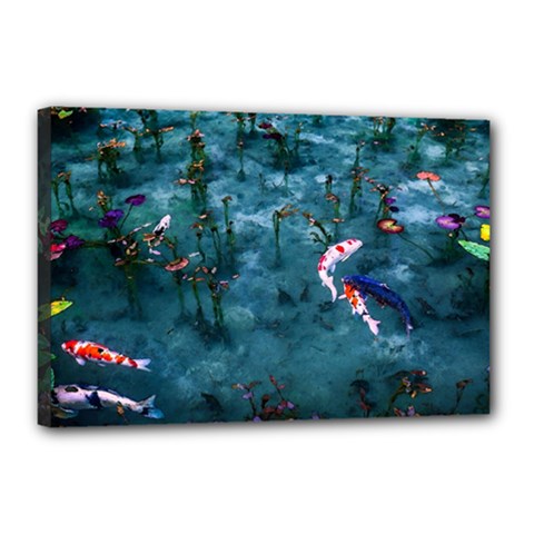 Fish Koi Carp Canvas 18  X 12  (stretched) by Cemarart