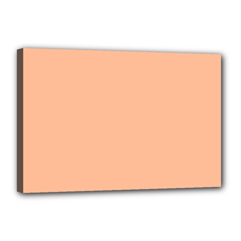 Peach Fuzz 2024 Canvas 18  X 12  (stretched) by dressshop