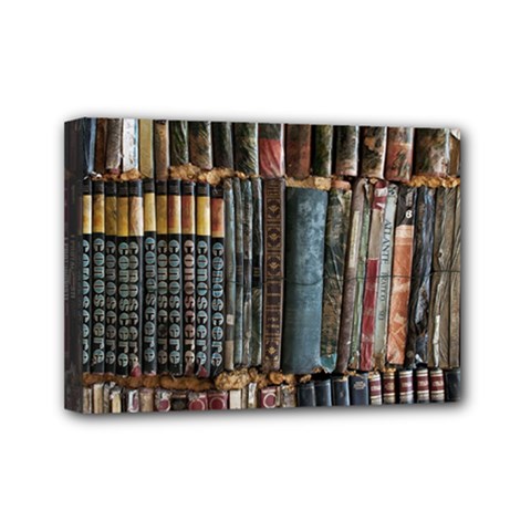 Pile Of Books Photo Of Assorted Book Lot Backyard Antique Store Mini Canvas 7  X 5  (stretched) by Bedest