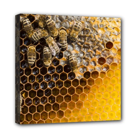 Honeycomb With Bees Mini Canvas 8  X 8  (stretched) by Apen