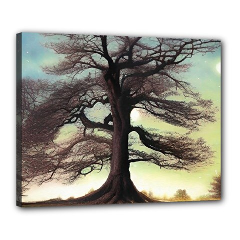 Nature Outdoors Cellphone Wallpaper Background Artistic Artwork Starlight Book Cover Wilderness Land Canvas 20  X 16  (stretched) by Posterlux