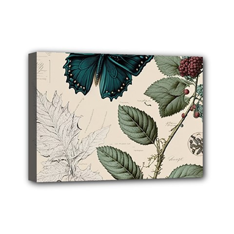 Butterflies Butterfly Botanical Nature Sketch Junk Journal Field Notes Paper Vintage Ephemera Mini Canvas 7  X 5  (stretched) by Maspions