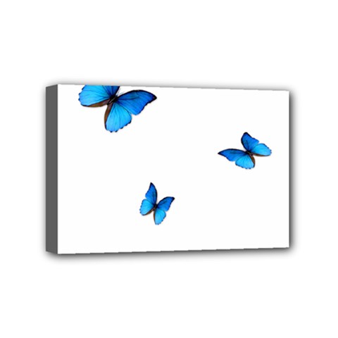 Butterfly-blue-phengaris Mini Canvas 6  X 4  (stretched) by saad11