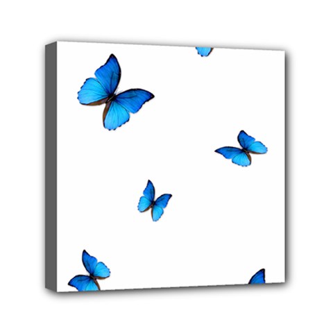Butterfly-blue-phengaris Mini Canvas 6  X 6  (stretched) by saad11