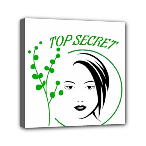 Top Secret  Mini Canvas 6  X 6  (stretched) by Raju
