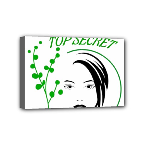 Top Secret  Mini Canvas 6  X 4  (stretched) by Raju