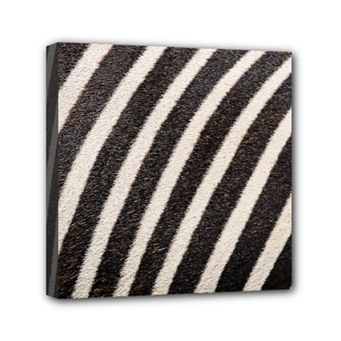 Zebra Zebra Pattern Zebra Fur Zebra Print Strip Mini Canvas 6  X 6  (stretched) by Azkajaya