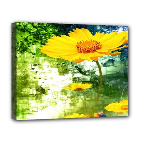 Yellow Flowers Deluxe Canvas 20  X 16  (stretched) by Ket1n9