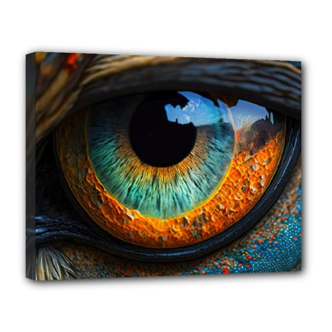 Eye Bird Feathers Vibrant Canvas 14  X 11  (stretched) by Hannah976