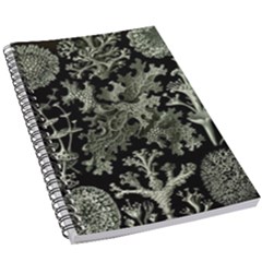 Weave Haeckel Lichenes Photobionten 5 5  X 8 5  Notebook by Cemarart