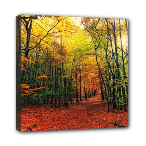 Forest Woods Autumn Nature Mini Canvas 8  X 8  (stretched) by Proyonanggan