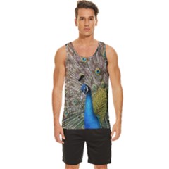 Peacock Bird Animal Peafowl Men s Wide Collar Tank Top by Perong