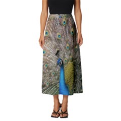 Peacock Bird Animal Peafowl Classic Midi Chiffon Skirt by Perong