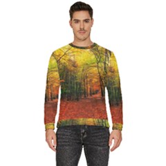 Forest Woods Autumn Nature Men s Fleece Sweatshirt by Proyonanggan