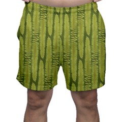 Fern Texture Nature Leaves Men s Shorts by Posterlux