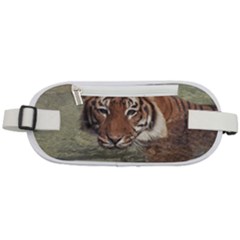 Swimming Tiger Rounded Waist Pouch by ExtraAwesomeSauce
