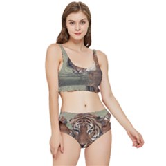 Swimming Tiger Frilly Bikini Set by ExtraAwesomeSauce