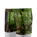 Peaceful Green Forest Walk Men s Boxer Briefs View2