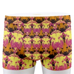 Gradient Lion Head Pattern Men s Boxer Briefs by ExtraAwesomeSauce