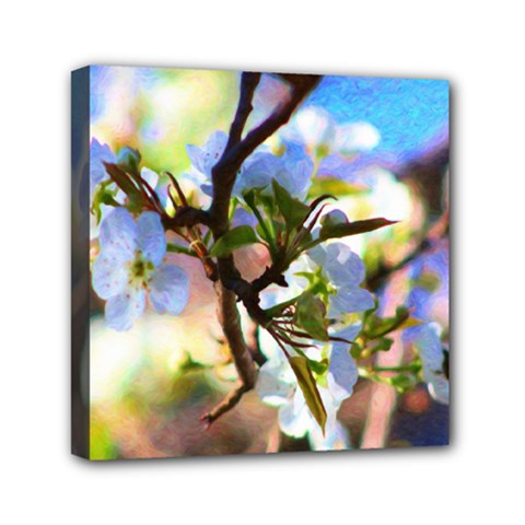 Springtime Pear Tree Blossoms Mini Canvas 6  X 6  (stretched) by ExtraAwesomeSauce