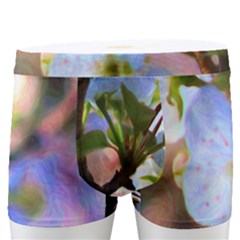 Springtime Pear Tree Blossoms Men s Boxer Briefs by ExtraAwesomeSauce
