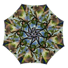 Springtime Pear Tree Blossoms Automatic Folding Umbrella With Case (medium) by ExtraAwesomeSauce