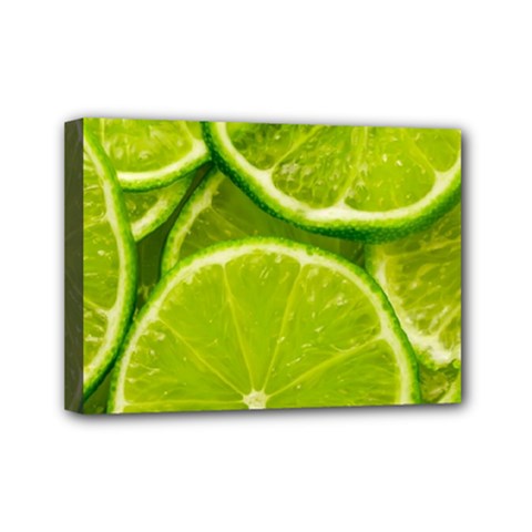 Lime Slices Close Up, Fresh, Fruit, Green Lemon Mini Canvas 7  X 5  (stretched) by kyorashop23