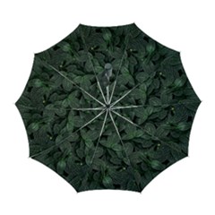 Leaves Plant Foliage Green Automatic Folding Umbrella With Case (large) by Cemarart