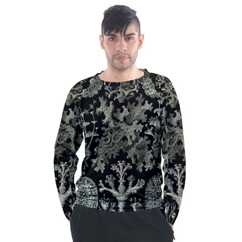Weave Haeckel Lichenes Photobionten Men s Long Sleeve Raglan T-shirt by Cemarart