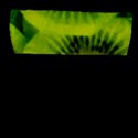 Kiwi Fruits, Close-up, Exotic Fruit Flap Closure Messenger Bag (L) View1