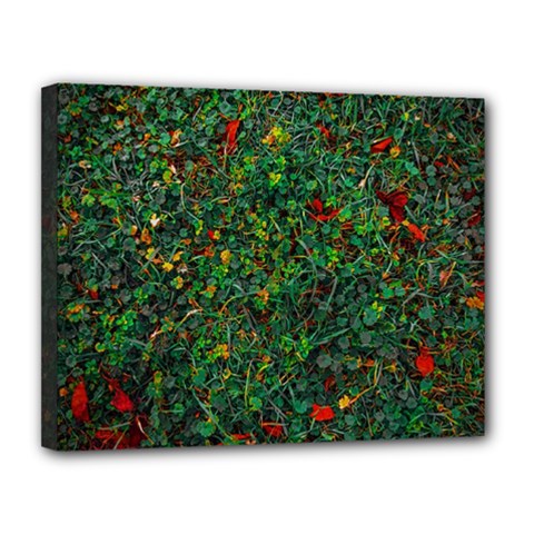 Grass Nature Meadow Canvas 14  X 11  (stretched) by Hannah976