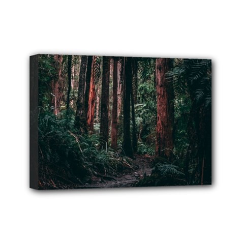 Forest Jungle Trees Tropics Mini Canvas 7  X 5  (stretched) by Bedest