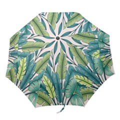 Illustrations Plants Nature Leaves Folding Umbrellas by Salmanaz77