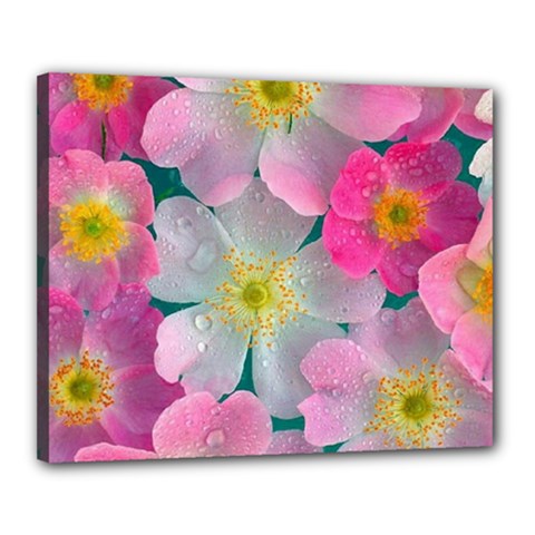 Pink Neon Flowers Flower Canvas 20  X 16  (stretched) by Cemarart