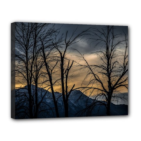Tree Silhouette At Border Of Nahuel Haupi Lake, Rio Negro, Argentina Canvas 14  X 11  (stretched) by dflcprintsclothing