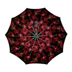 Floral Buds Of Roses Beautiful Flowers Automatic Folding Umbrella With Case (large) by Grandong