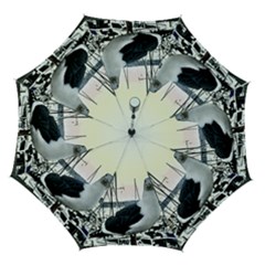 Fisherman?¯s Ward, San Francisco, Ca Automatic Folding Umbrella With Case (medium) by RiverRootz