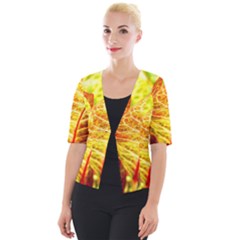 Leaves Plant Pattern Croton Nature Cropped Button Cardigan by Sabxi