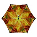 Leaves Plant Pattern Croton Nature Automatic Folding Umbrella with Case (Small) View1
