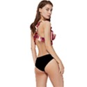 Retro 60s 50s Plaid Pattern 4 Low Cut Ruffle Edge Bikini Top View3