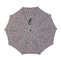 Floral Mix Automatic Folding Umbrella With Case (large) by DinkovaArt