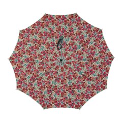 Red Flowers Automatic Folding Umbrella With Case (large) by DinkovaArt