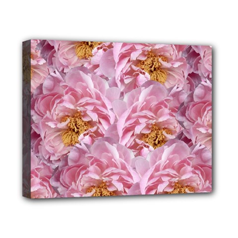 Peonies Nature Bloom Blossom Pink Canvas 10  X 8  (stretched) by Tsamara