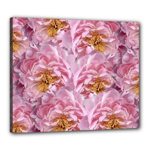 Peonies Nature Bloom Blossom Pink Canvas 24  X 20  (stretched) by Tsamara